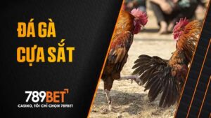 Đá gà cựa sắt tại 789BET